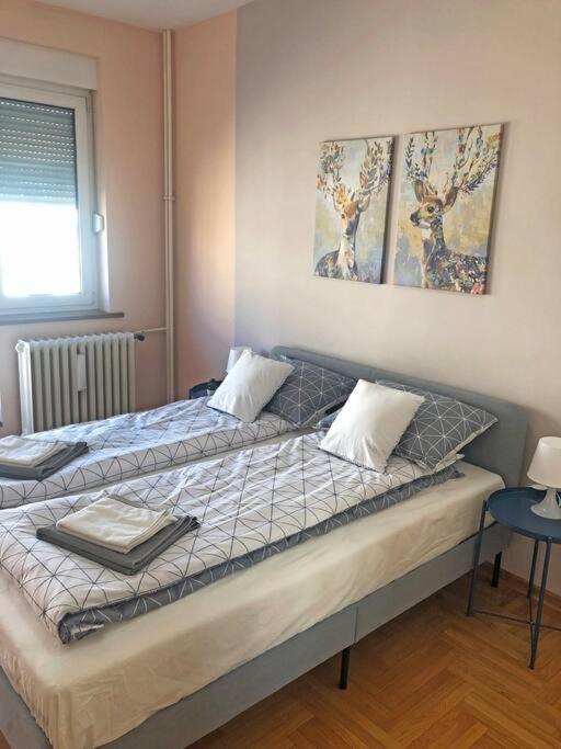 Quince Apartment-Free Parking-City Center 베오그라드 외부 사진